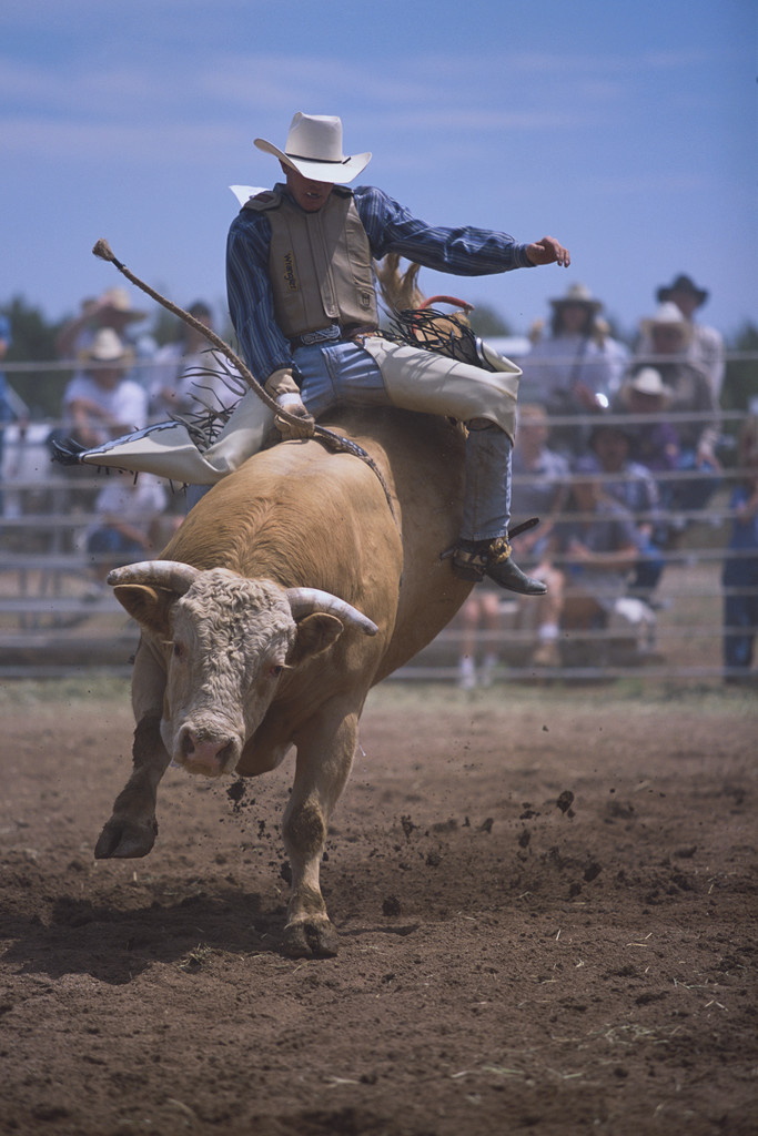 Rodeo