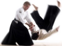 aikido perfectionism